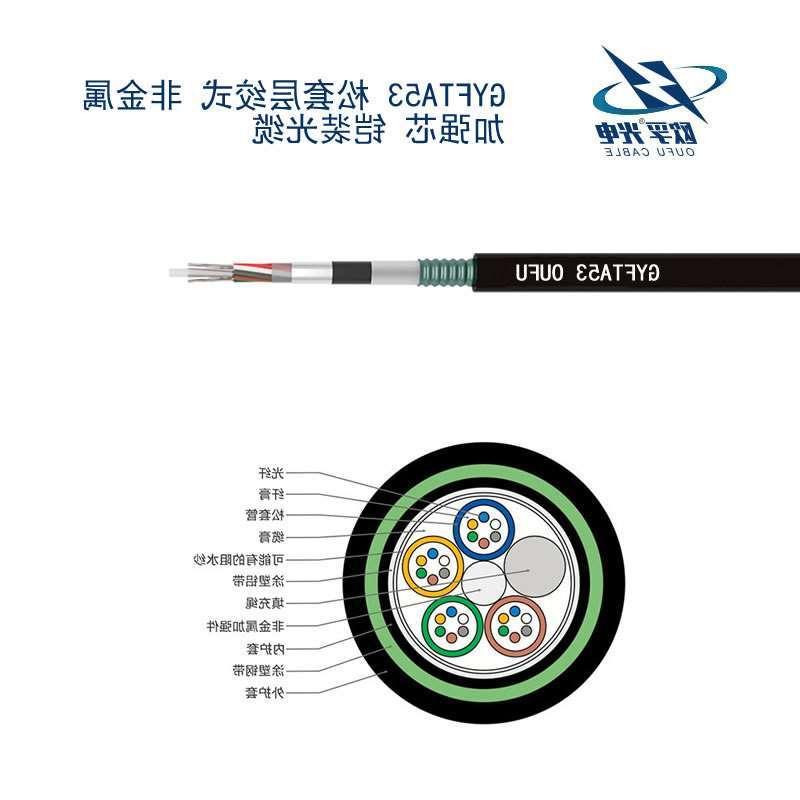 路氹城GYFTA53光缆