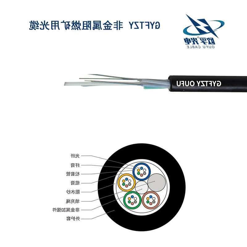 武隆区GYFTZY光缆